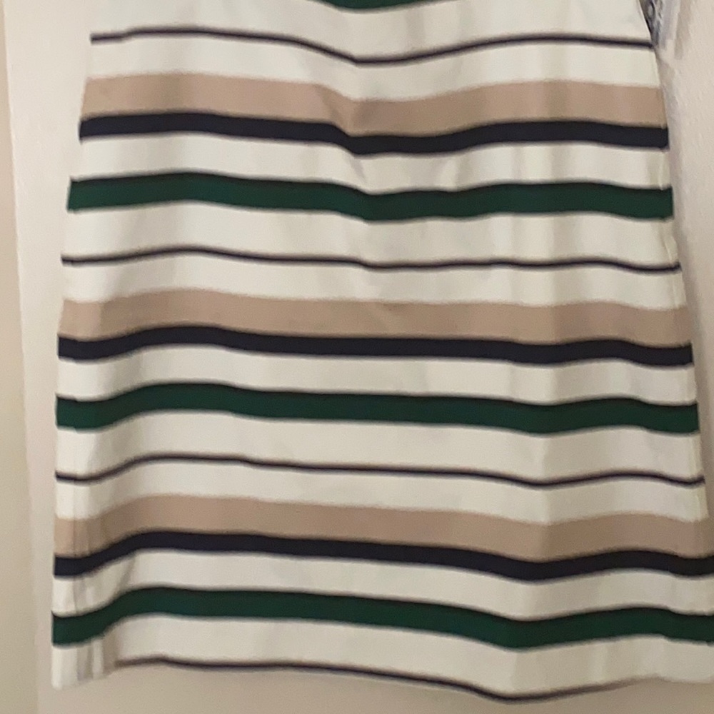 Ann Taylor skirt